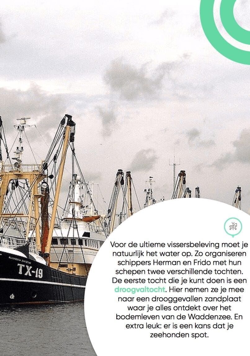 boottocht en garnaalvissen Texel