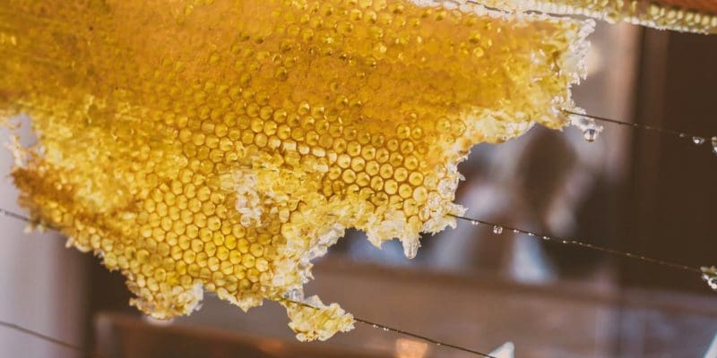 honingraat voor honing uit de Gorges du Verdon