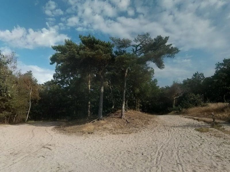 Vrachelse Heide