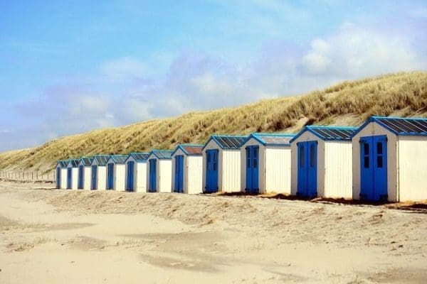 strand-texel